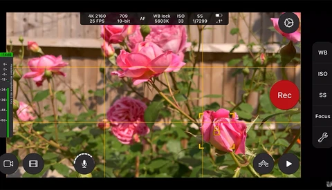 Screenshot of a camera app interface displaying pink roses in a garden with exposure and focus controls visible.