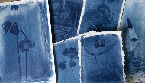 Cyanotype prints of botanical specimens and objects arranged on a light surface.