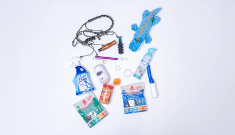Flat lay of personal care and outdoor activity products arranged on white background.