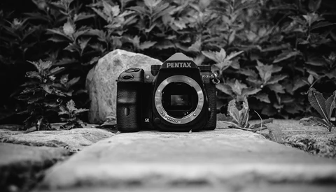 Pentax SLR camera body positioned on concrete ground with overgrown foliage in the background.