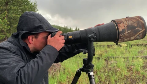 Photographer using a telephoto lens on a tripod in an open field with overcast sky and evergreen trees in background.