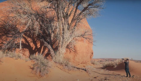 Photographer standing beside a gnarled desert tree casting long shadows on rust-colored sand dunes under clear blue sky.