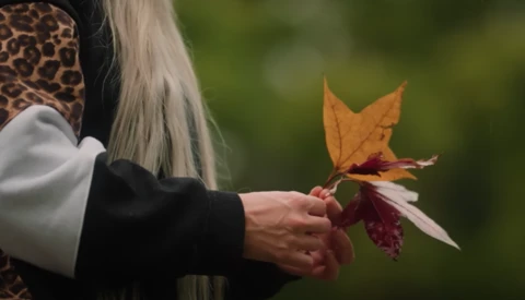 Person in black jacket holding autumn leaves with blurred green background.
