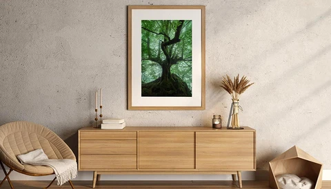 Framed photograph of a tree shot from below, displaying upward-looking composition with green canopy against darker trunk.