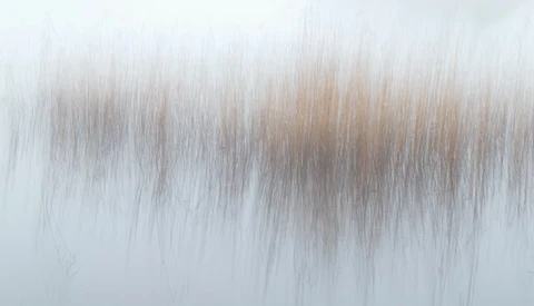 Abstract motion blur with vertical streaks transitioning from white to warm brown and gray tones.