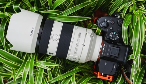 Sony mirrorless camera with attached telephoto lens on striped green foliage background.