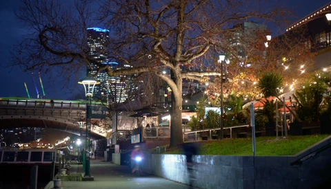 Urban waterfront plaza at twilight with illuminated bare tree, bridge, and lit buildings in background.
