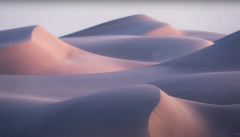Sand dunes with smooth, undulating slopes lit by warm golden light against cool blue shadows.