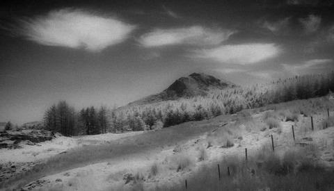 Snow-covered hillside with coniferous forest and distant peak under dramatic cloudy sky.