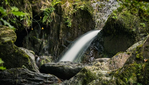 Waterfall flowing through moss-covered rocks in a forest stream.