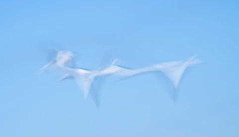 Wispy white clouds stretched across a clear blue sky.