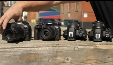 Four Canon DSLR cameras arranged in size progression on a wooden surface outdoors.