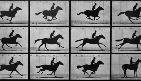 Sequential silhouettes of a horse and rider in motion across numbered frames.