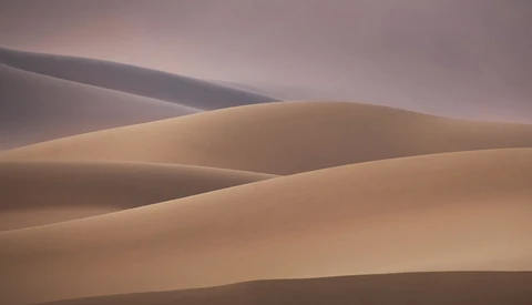 Undulating sand dunes with smooth, curved ridges in warm tan and beige tones under an overcast purple-grey sky.
