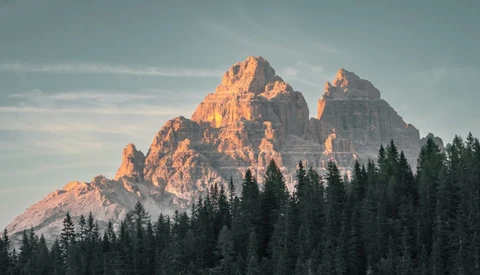 Jagged mountain peaks with golden alpenglow rising above a dense coniferous forest at dusk.