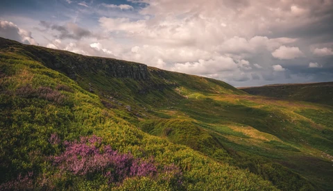 Rolling hillside with purple heather and green moss under dramatic cloudy sky.