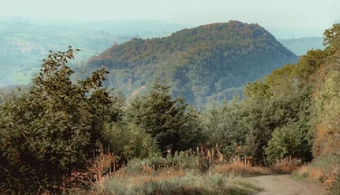 Forested valley with evergreen trees in foreground and distant mountain ridge under hazy sky.