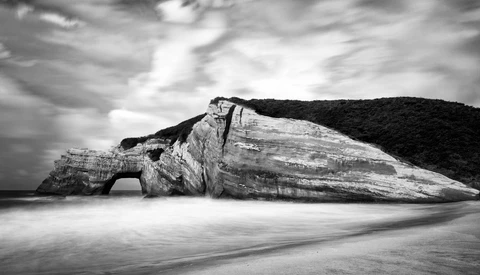Weathered rock formation on a beach with dense vegetation on the cliff above, captured in black and white.