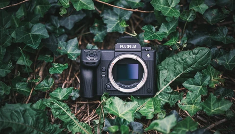 Fujifilm GFX camera body centered on dense green foliage and ground cover.