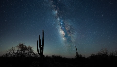 Saguaro cactus silhouetted against the Milky Way stretching across a starry night sky.