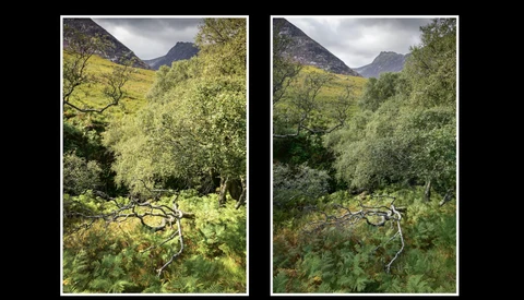 Side-by-side comparison of the same mountain valley landscape in different post-processing styles.