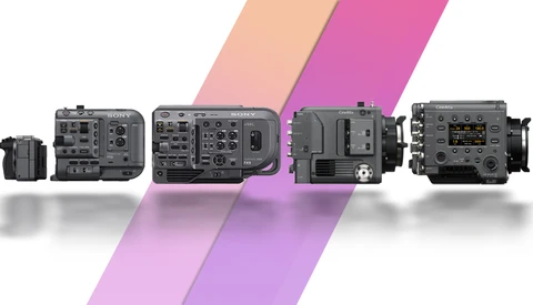 Lineup of five professional video cameras arranged left to right, displayed against a white background with pink diagonal stripes.