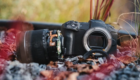Mirrorless camera body with attached lens resting on autumn leaves and moss.