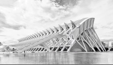 Monochromatic photograph of a striking ribbed skeletal building structure reflected in still water.