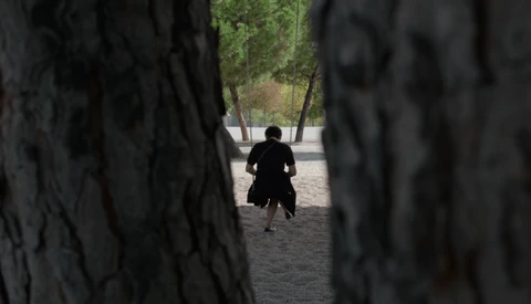 Person in black clothing framed between tree trunks, viewed through foreground foliage in sharp focus.