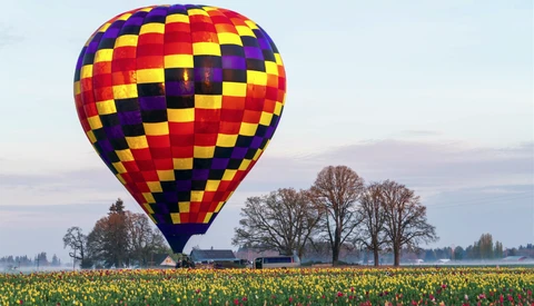 Colorful hot air balloon with red, yellow, purple, and blue diamond pattern floating above a tulip field at dawn.