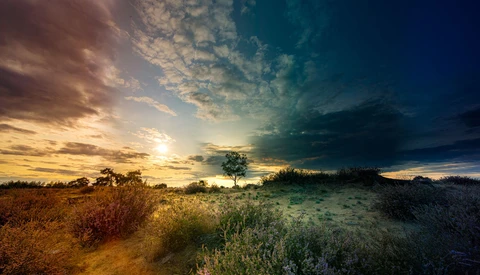 Lone acacia tree on savanna landscape beneath dramatic sunset sky with golden and blue tones.