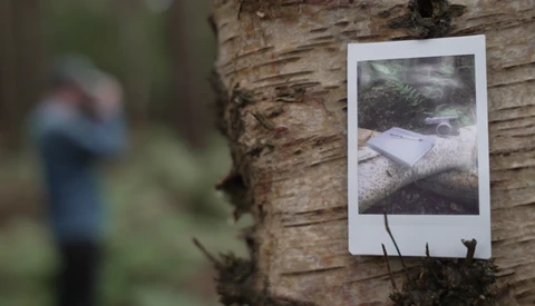 Instant film photo attached to a tree trunk with a blurred figure visible in the background.