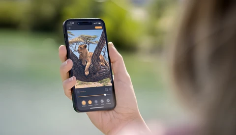 Smartphone displaying landscape photo editing interface with adjustment controls visible.