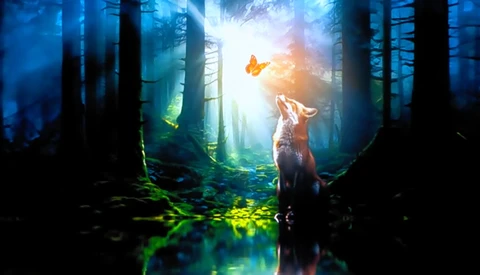 Fox gazing upward at an orange butterfly in a misty forest with tall trees and glowing light filtering through.