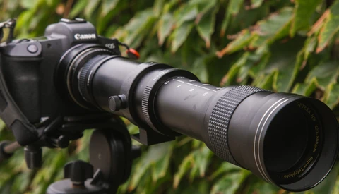 Canon DSLR camera mounted on tripod with telephoto lens extended, green foliage background.