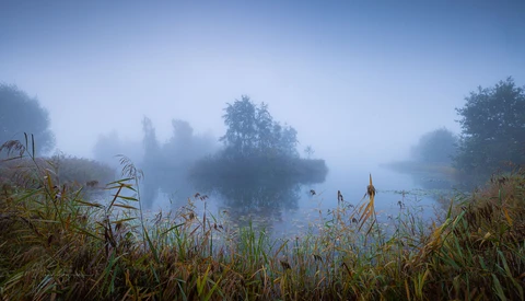 Misty lake landscape with reed-covered shoreline and forested islands shrouded in fog.