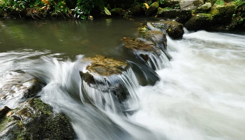 Cascading stream with multiple small waterfalls flowing over moss-covered rocks surrounded by lush green vegetation.