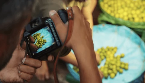 Photographer reviewing macro shot of yellow flowers on camera LCD screen during outdoor shoot.