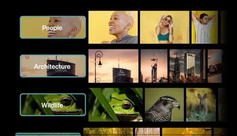 Screenshot of a photo library interface showing category tiles for People, Architecture, and Wildlife with thumbnail previews.