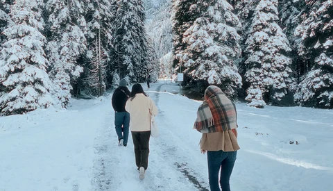 Three people jogging on a snowy forest road lined with snow-covered evergreen trees.