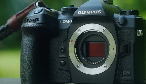 Olympus OM-1 camera body showing open mirror box and sensor with green background.