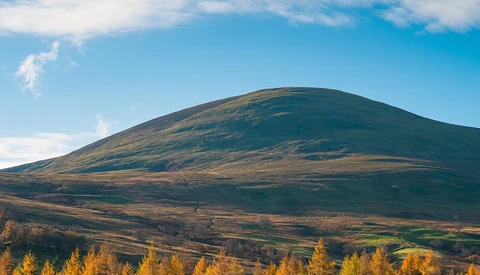 Rounded mountain slope with golden larch trees in foreground under blue sky with clouds.