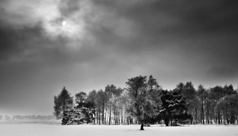 Stark winter landscape with tree line and snow-covered field under dramatic cloudy sky.