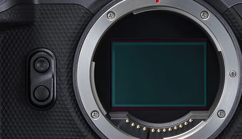 Camera body with open mirror box showing sensor and contact pins against textured grip.