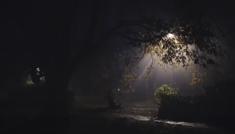 Moody nighttime path illuminated by warm overhead light, with silhouetted trees and foliage framing the scene.