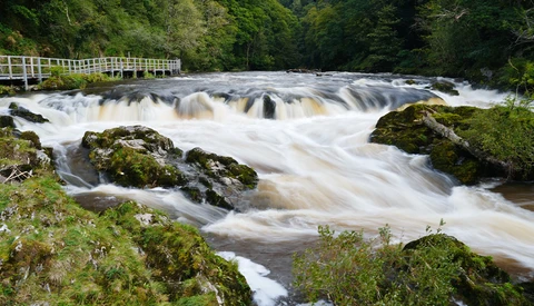 Rapid whitewater river flowing through moss-covered rocks with dense forest and wooden footbridge upstream.