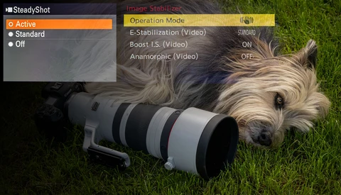 Screenshot showing SteadyShot image stabilization settings menu with a Westie dog next to a telephoto lens on grass.