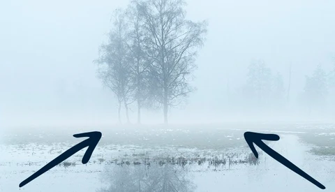 Minimalist composition with two arrows pointing outward over a misty wetland landscape with bare trees.
