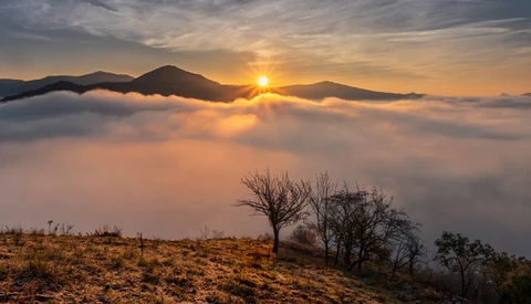 Sunrise breaking above a dense cloud layer with mountains silhouetted on the horizon and bare trees in the foreground.