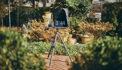 Film clapperboard mounted on tripod in garden surrounded by dried plants and greenery